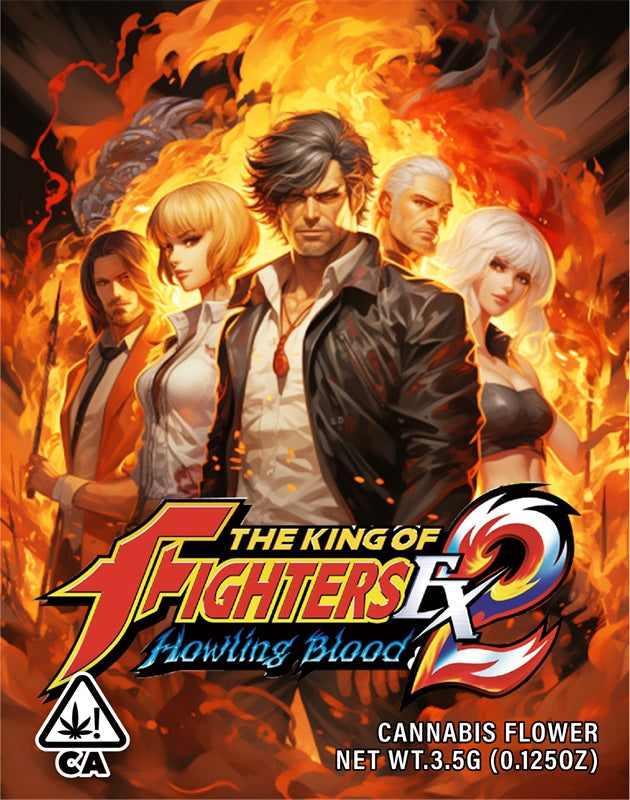 The King of Fighters 3.5g Cannabis Mylar Bags - Pre Made-Style13