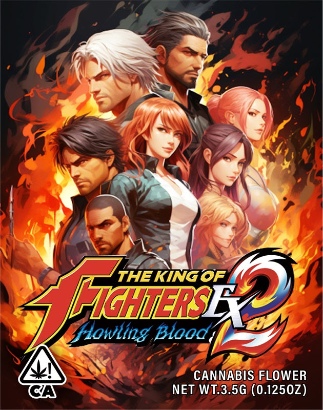 The King of Fighters 3.5g Cannabis Mylar Bags - Pre Made-Style16