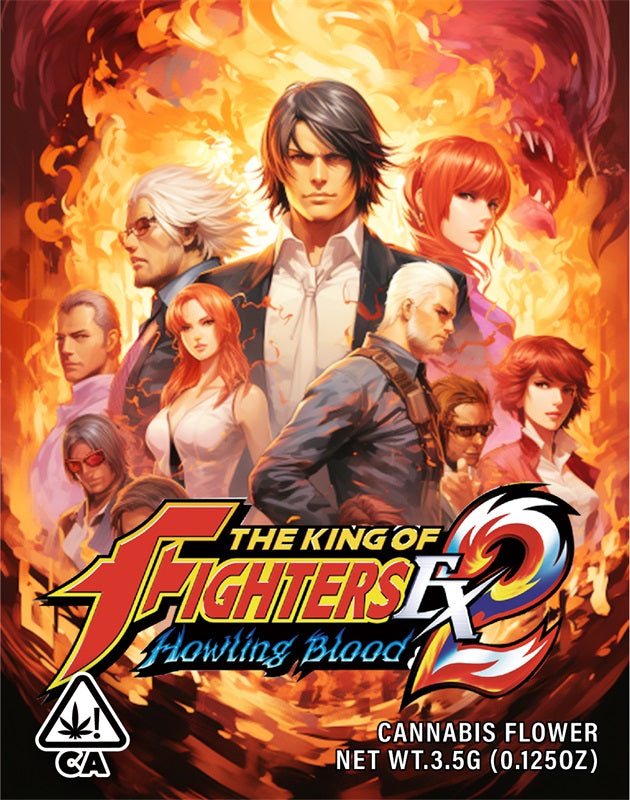 The King of Fighters 3.5g Cannabis Mylar Bags - Pre Made-Style18