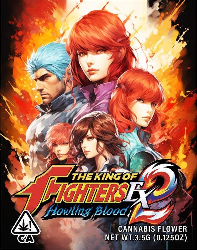 The King of Fighters 3.5g Cannabis Mylar Bags - Pre Made-Style4